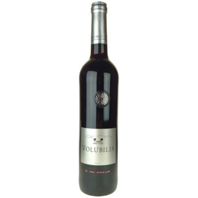 Guerrouane Volubilia 2022, Zouina